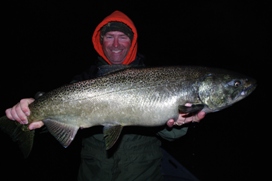 manistee salmon